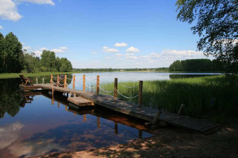 A wooden jetty on a calm lake, birches on the shore and a blue sky.