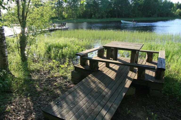 A wooden jetty and a bench table by the reeds on the lake shore.